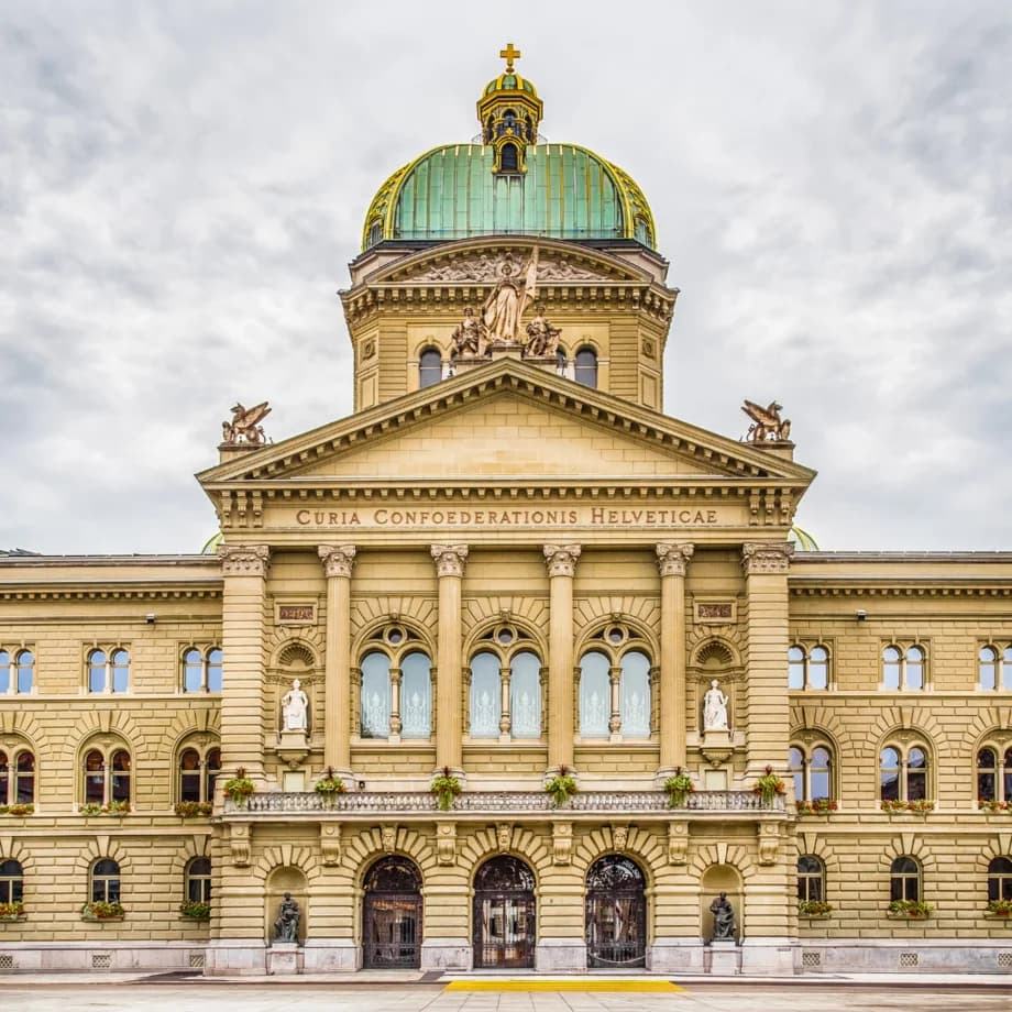 Beratung & Umsetzung Advocacy