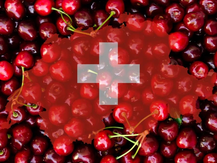 Schwiizer Frücht, ich weiss warum?